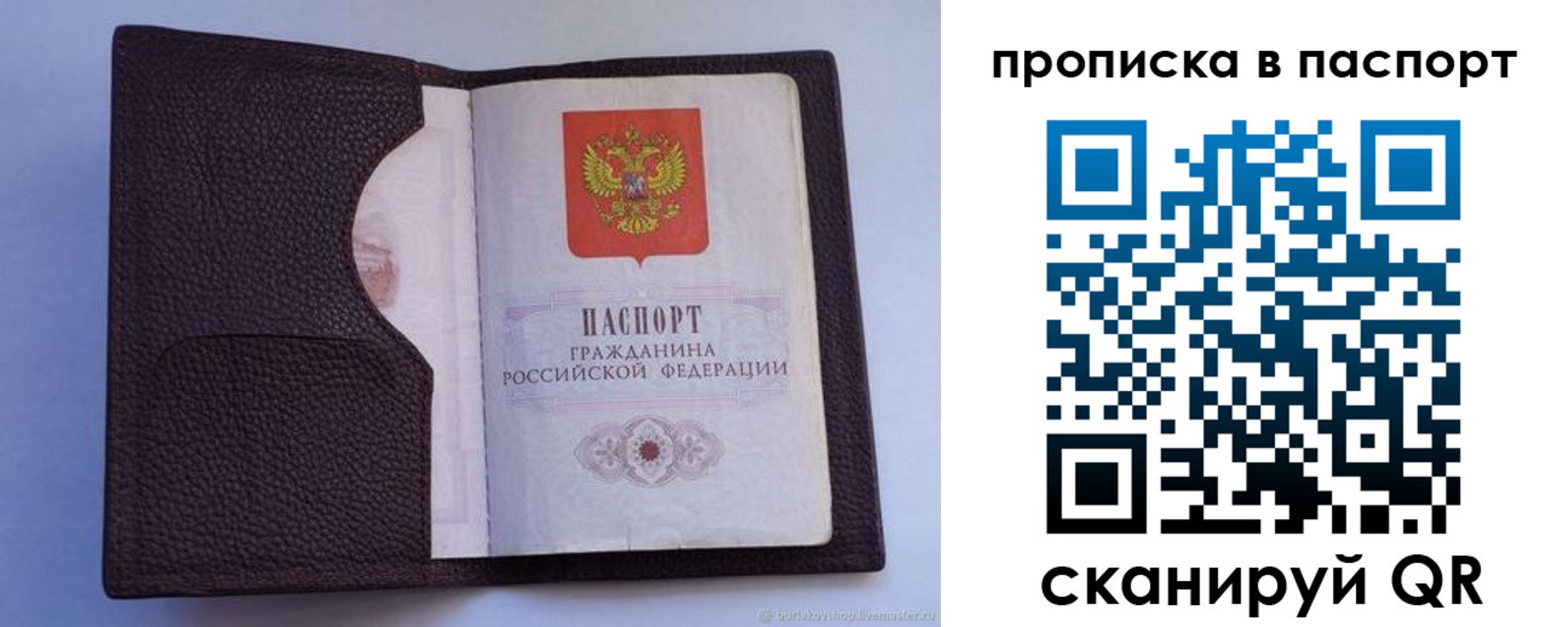 прописка законно в Сочи